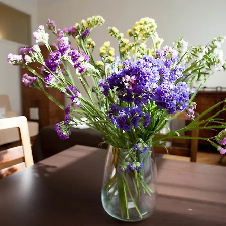 Apartamento Apartament Slawkowska
